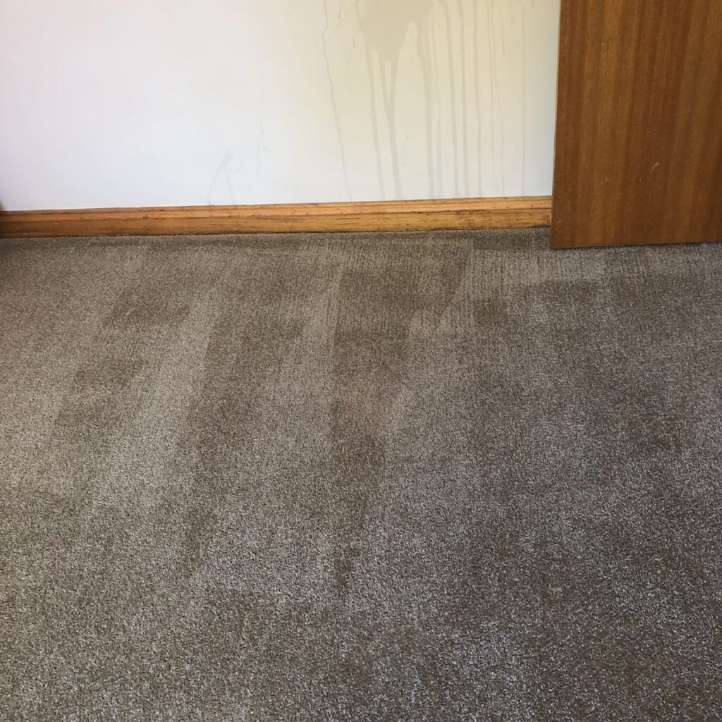 Carpet Cleaning Meredith