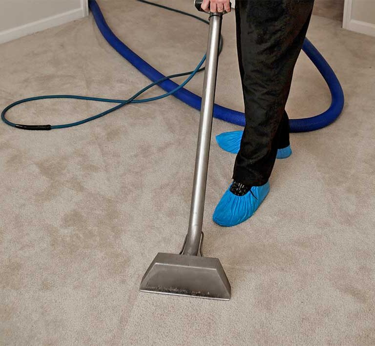 Carpet Cleaning in Highton