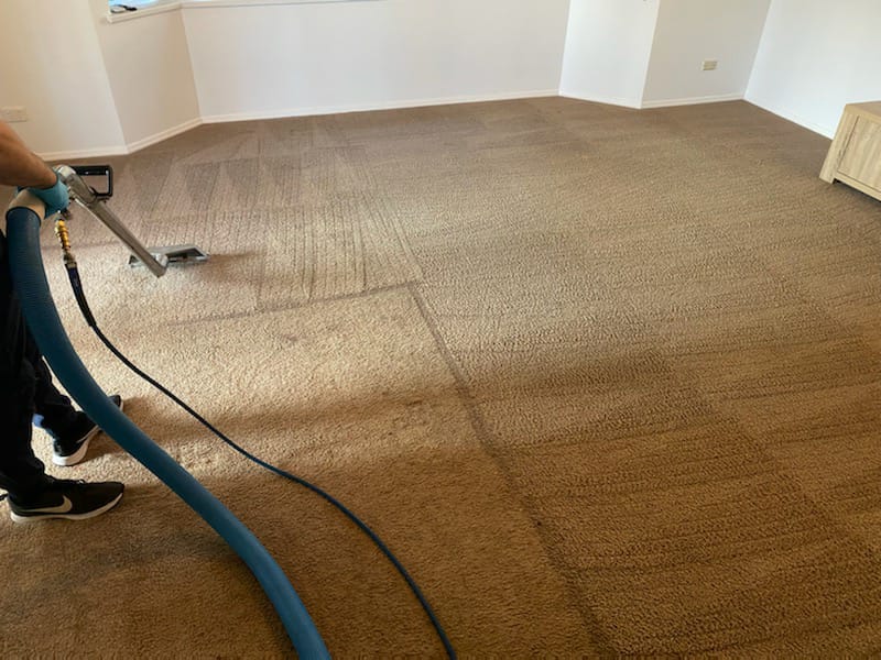 Breakwater carpet cleaning experts restoring a carpet to its original condition