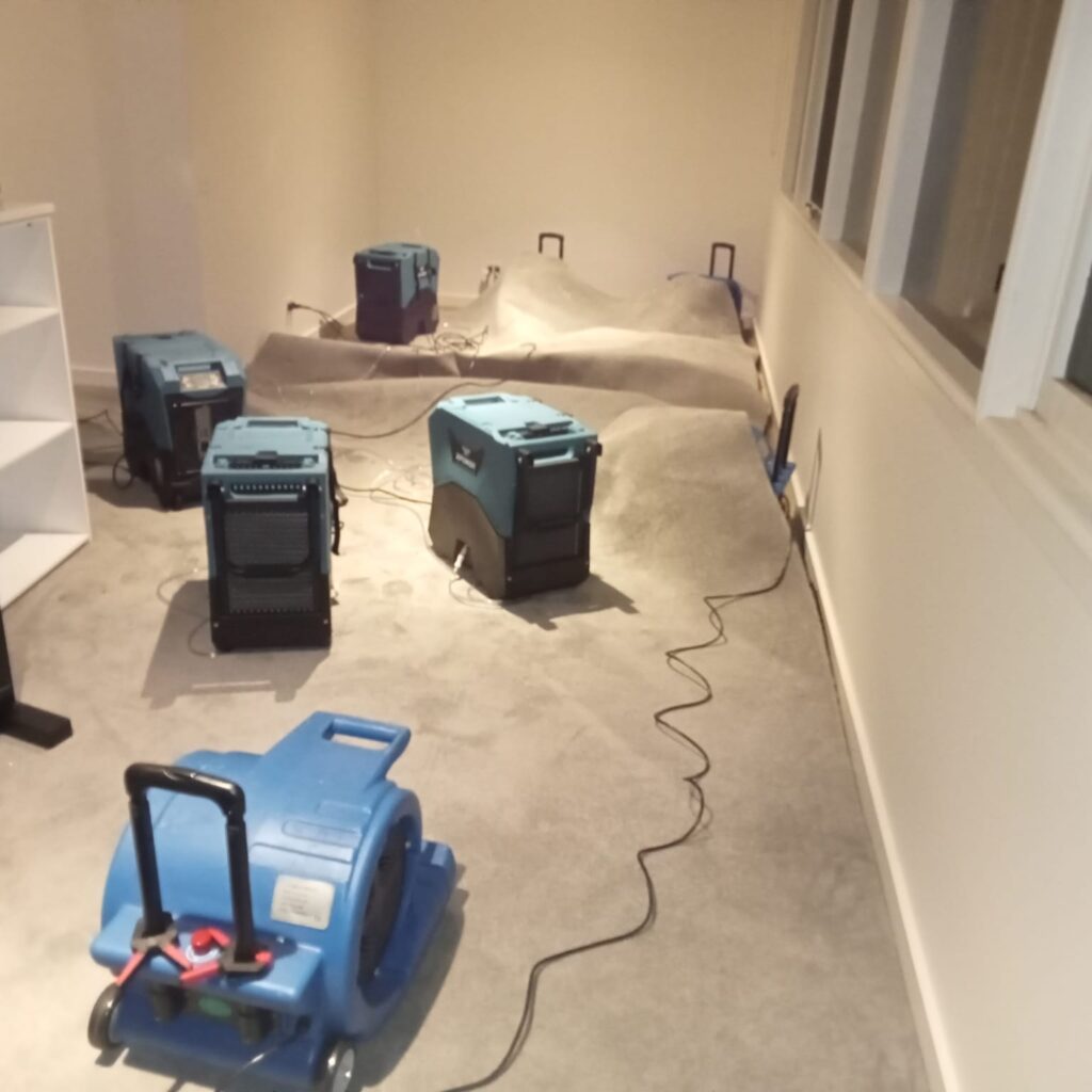 Carpet Cleaning Saint Albans Park