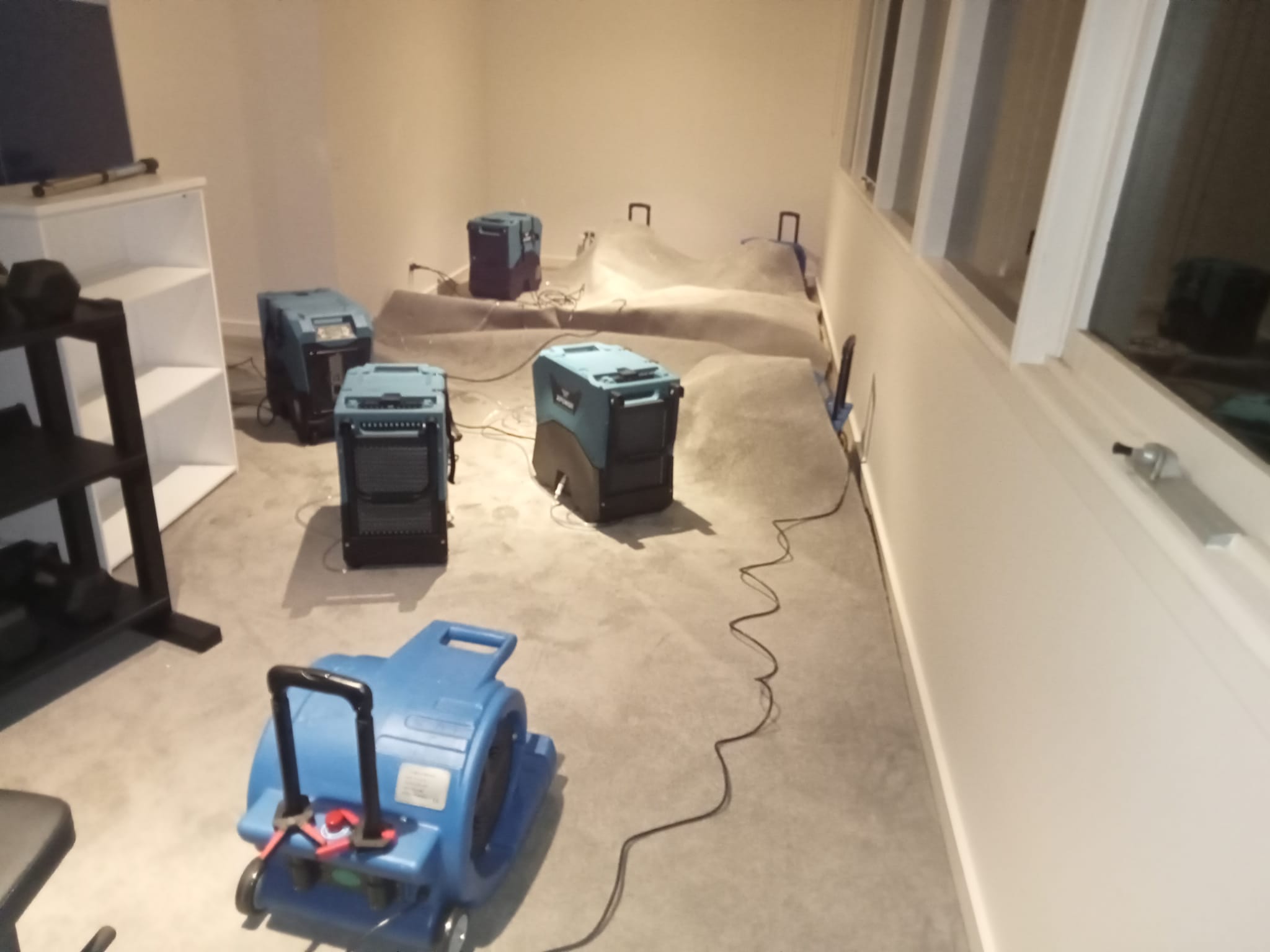 Carpet Cleaning Saint Albans Park