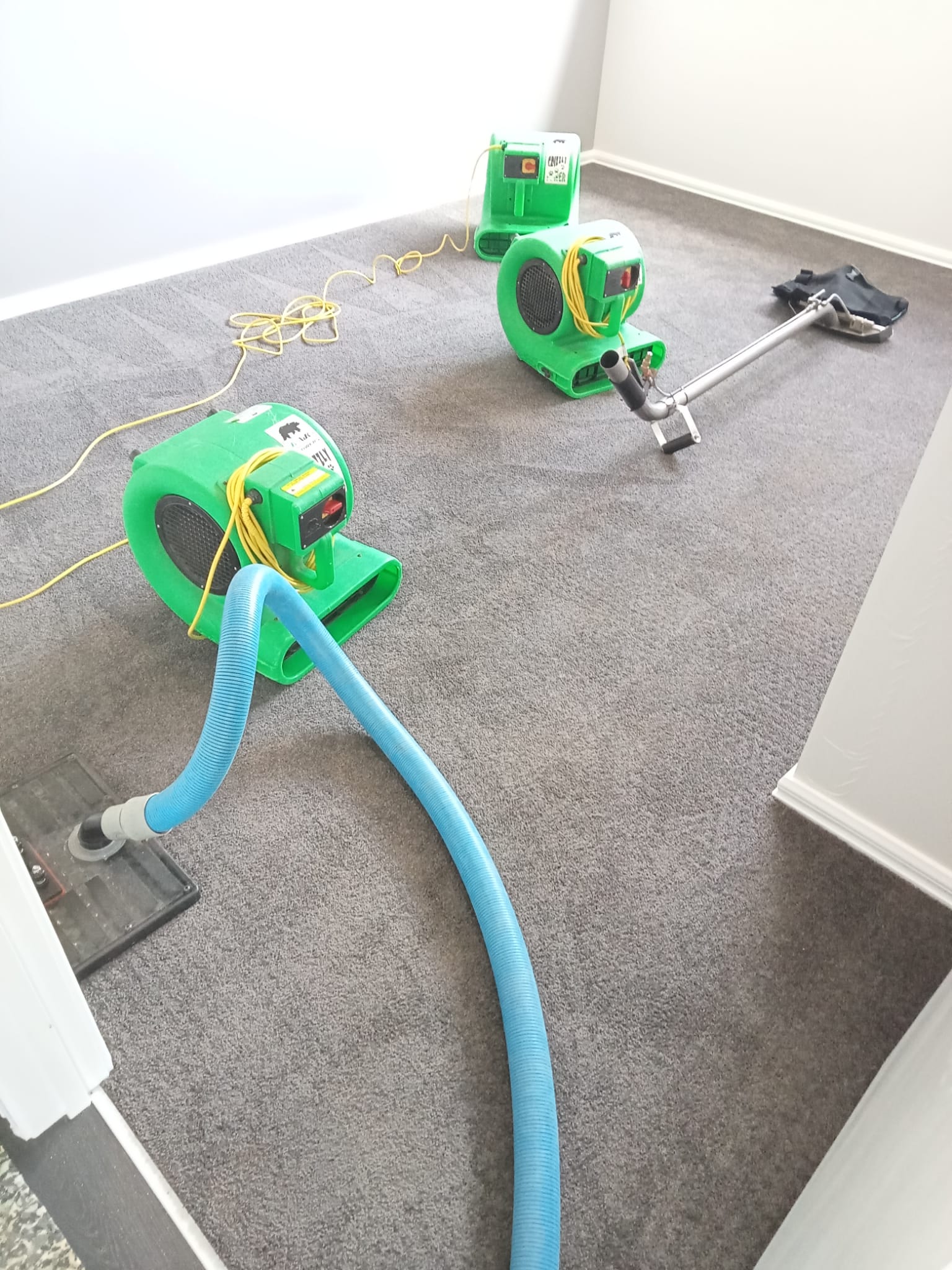 Carpet Cleaning and Flood Restoration