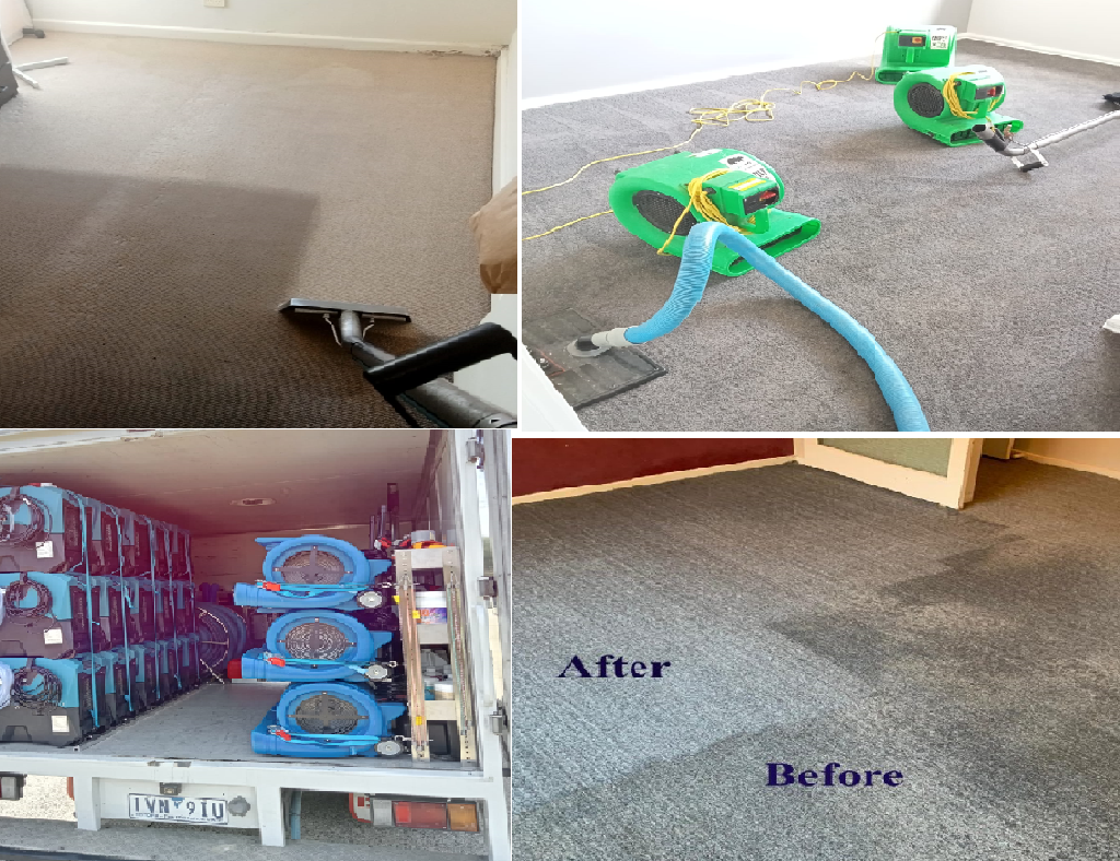 Carpet Cleaning Hamlyn Heights