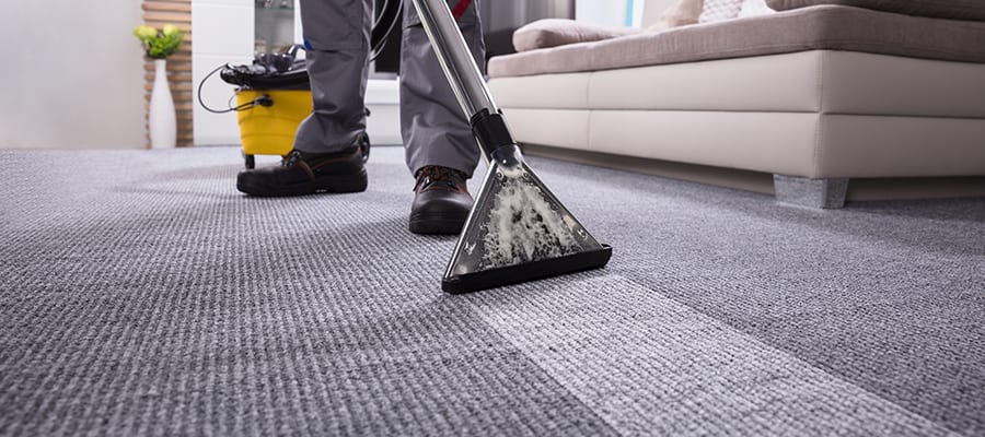 Professional carpet cleaners in Breakwater using advanced equipment