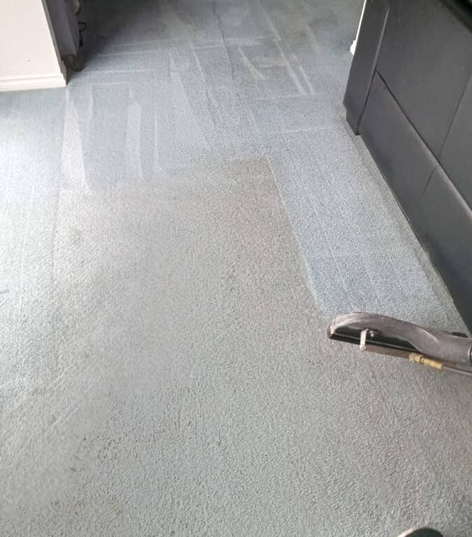 Carpet Cleaning in Highton