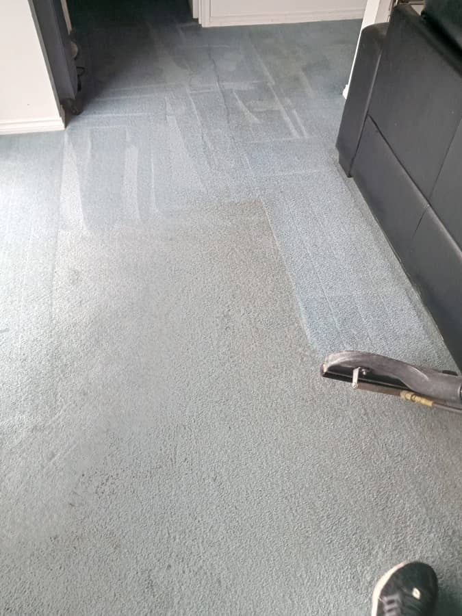 Carpet Cleaning in Highton