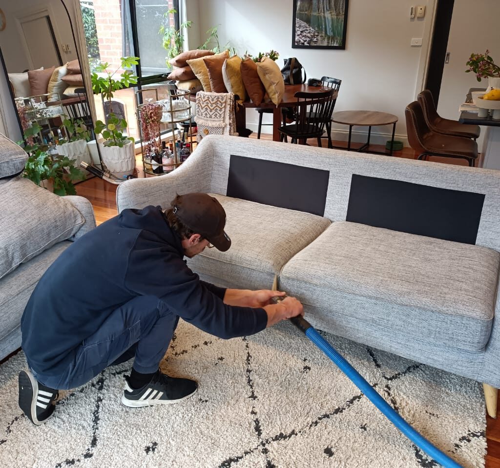 A professional cleaner using advanced equipment to clean and dry a carpet in Gheringhap.