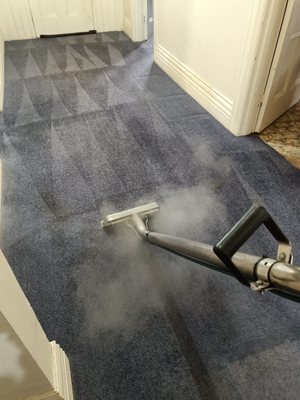 Carpet Cleaning Belmont