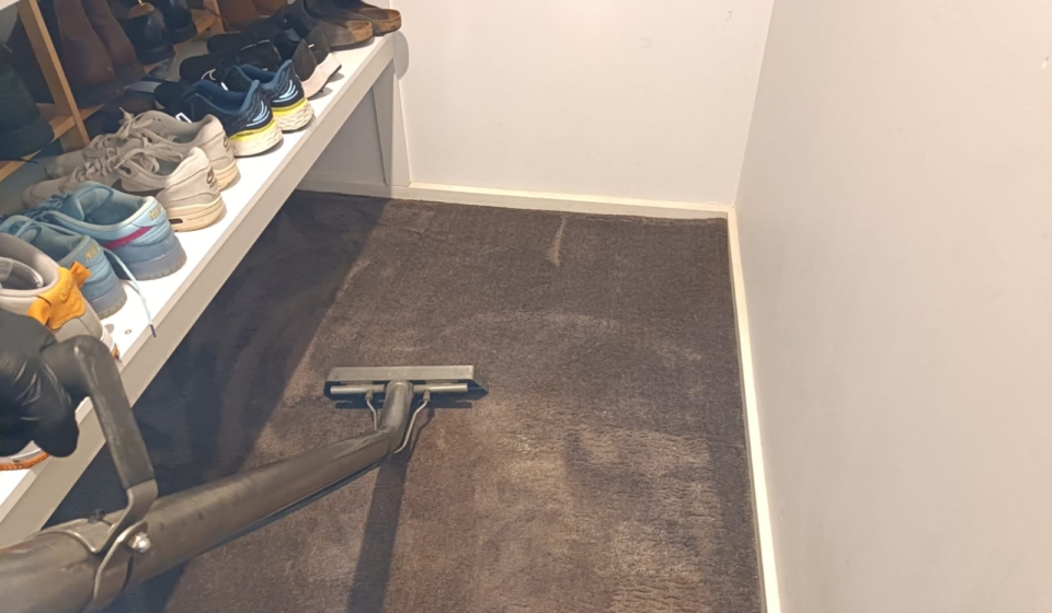Carpet Cleaning Maude
