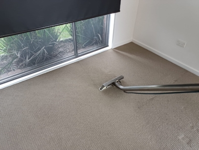 Carpet cleaning (1)