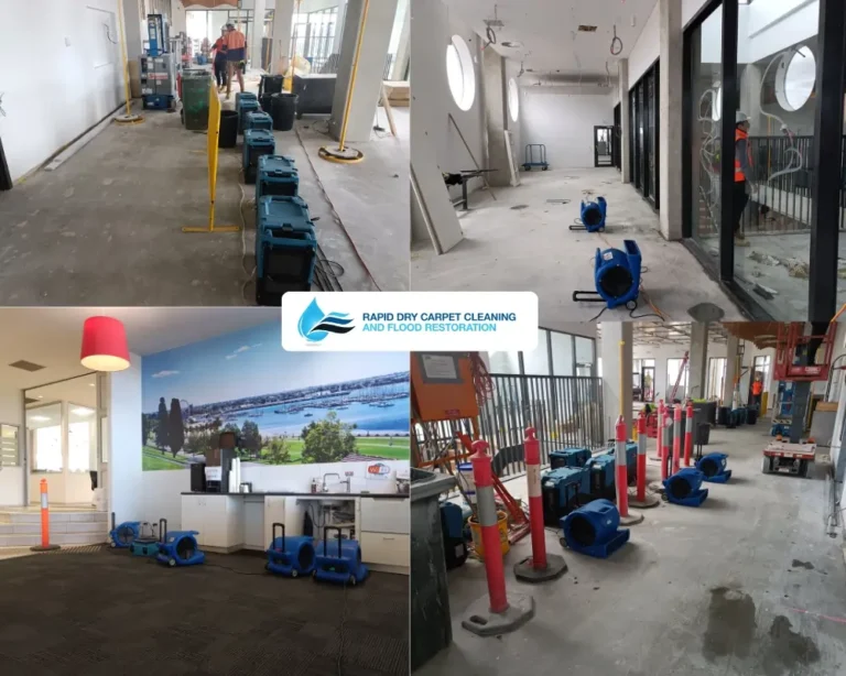Carpet salvage after flooding before after Geelong water damage restoration
