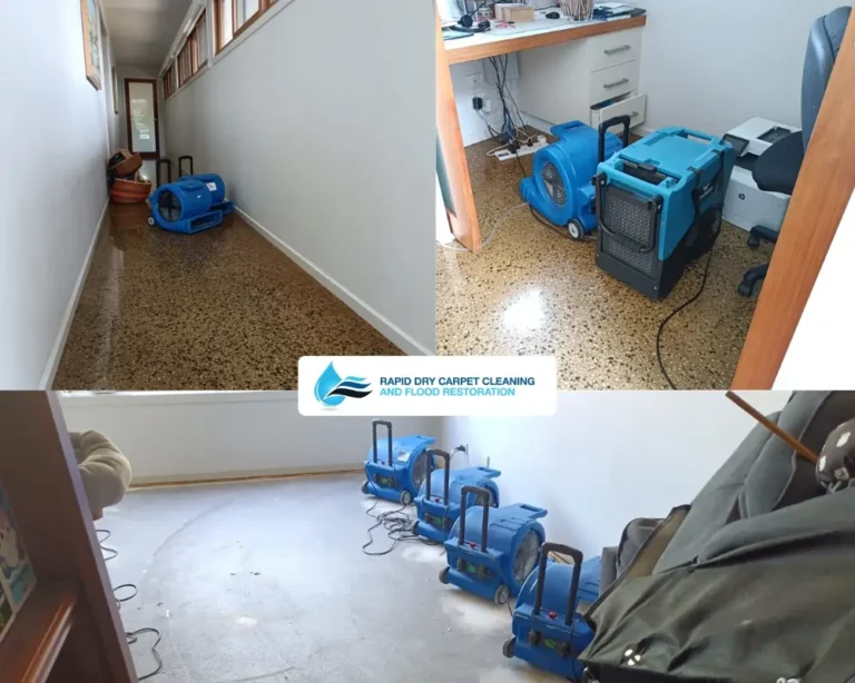 Carpet salvage after flooding before after Geelong water damage restoration