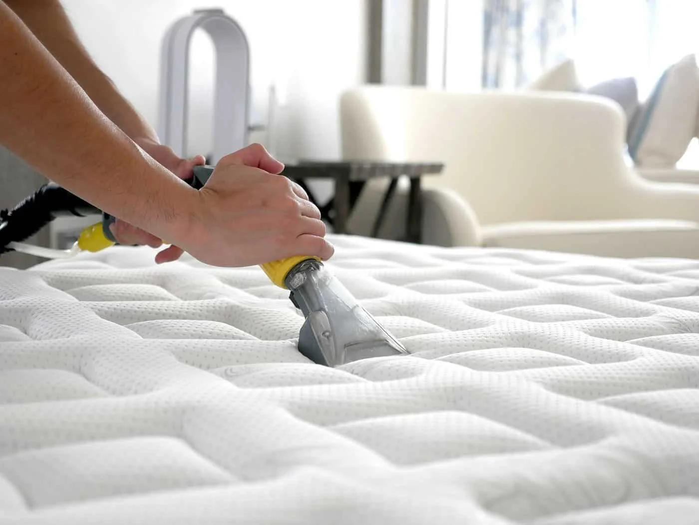 Professional mattress stain cleaning in Geelong by Rapid Dry