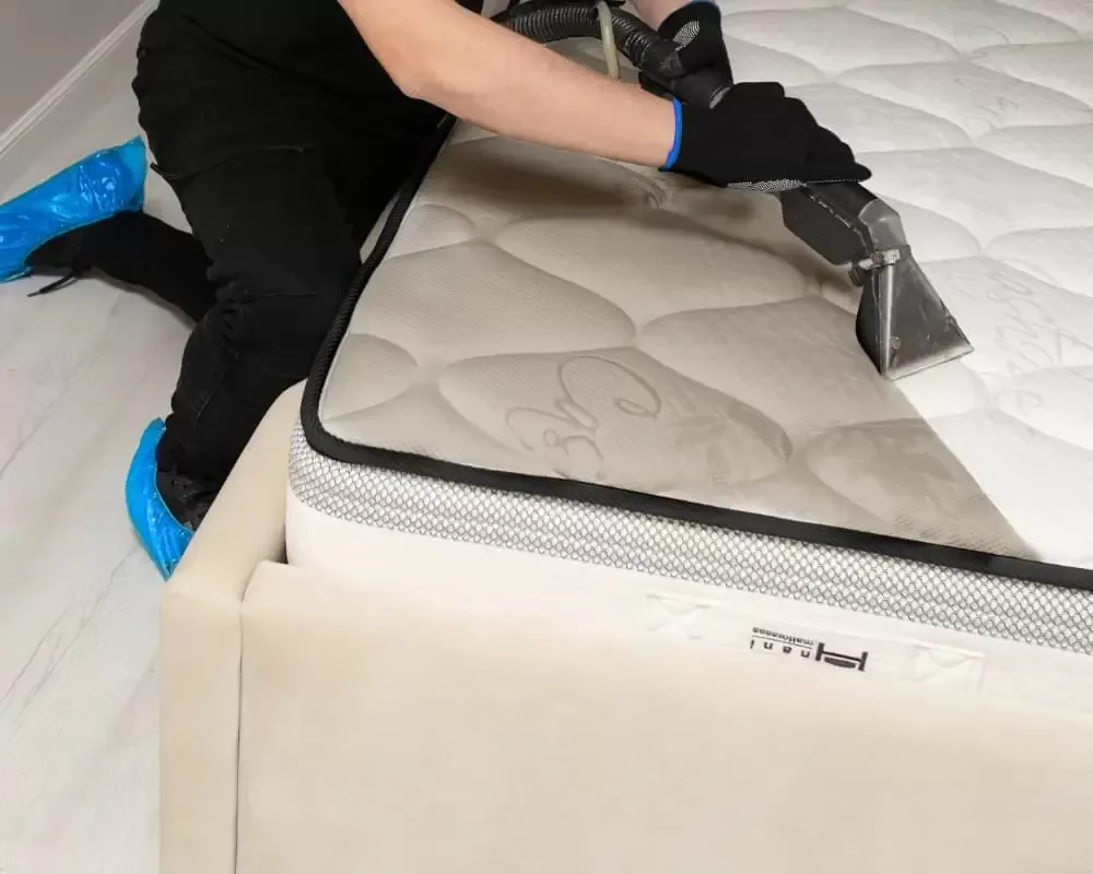 Recent professional mattress cleaning work completed in Geelong