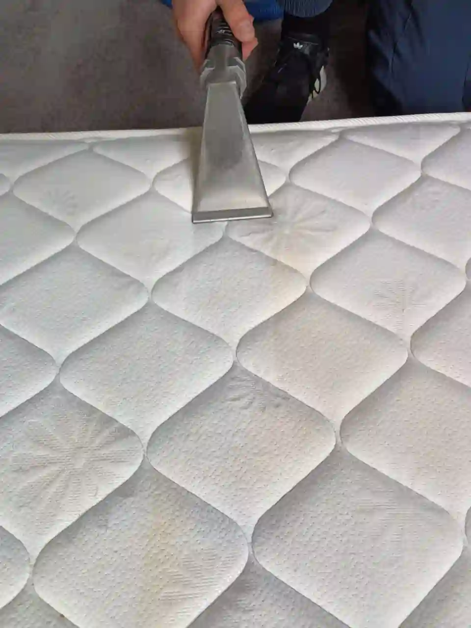 Rapid Dry professional cleaning work in Geelong