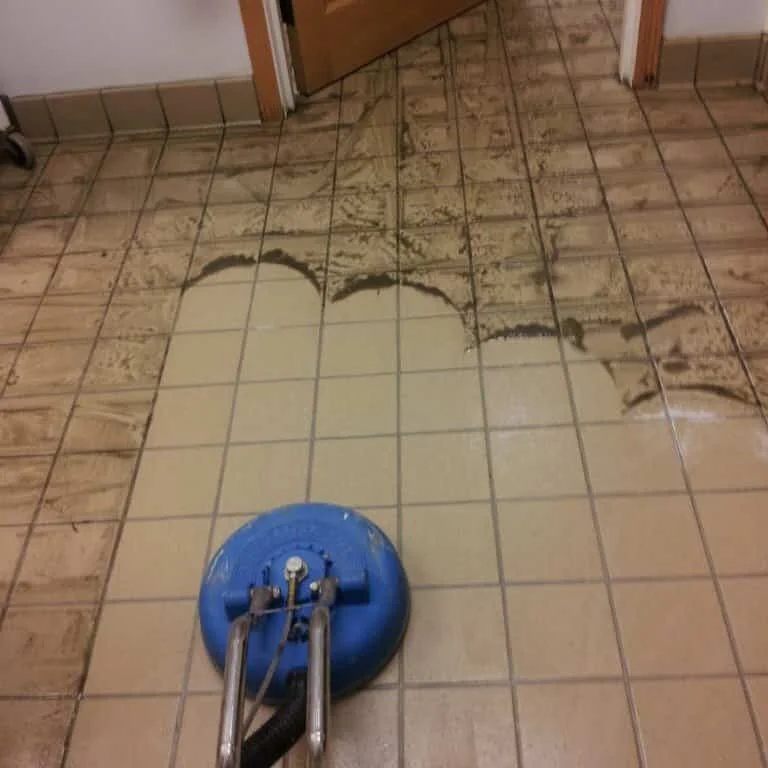 Professional tile and grout cleaning in Geelong by Rapid Dry Restoration