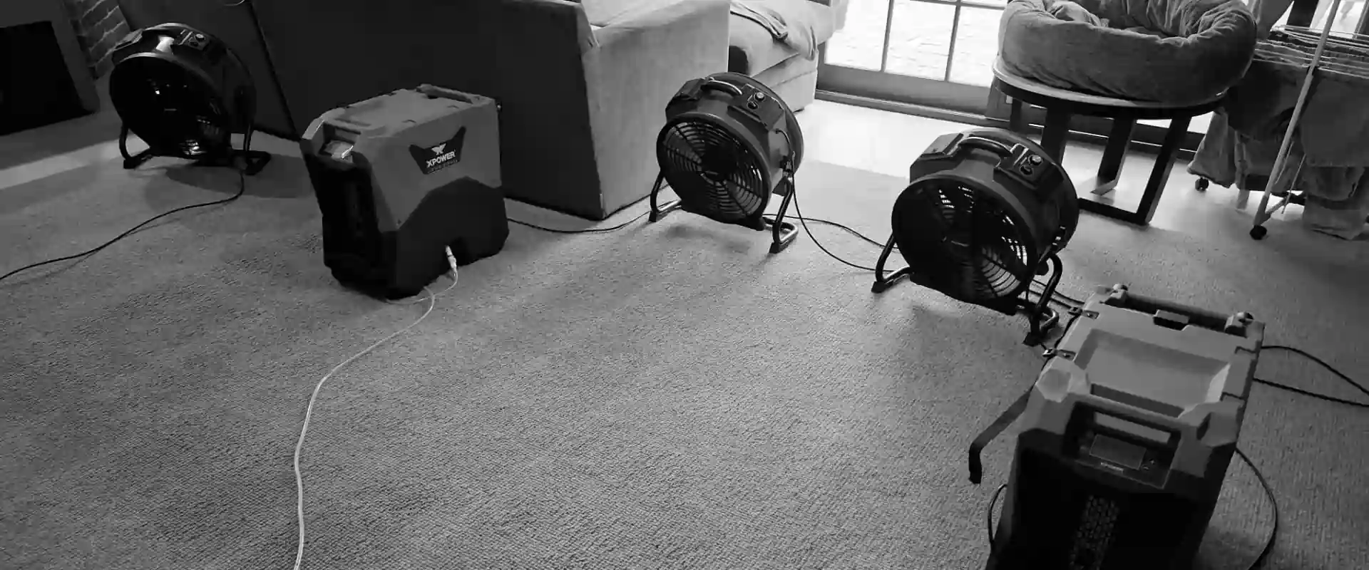 Carpet Stain Removal Geelong | Rapid Dry - rapid dry Successful red wine stain removal from a light coloured carpet in Geelong