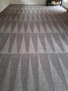 Professional Carpet Cleaner Servicing