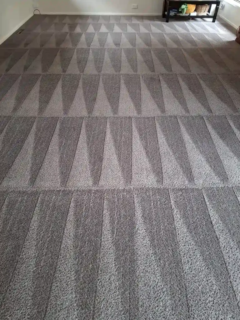 Professional Carpet Cleaner Servicing