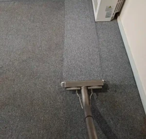 Rapid Dry technician performing carpet cleaning in a Geelong living room