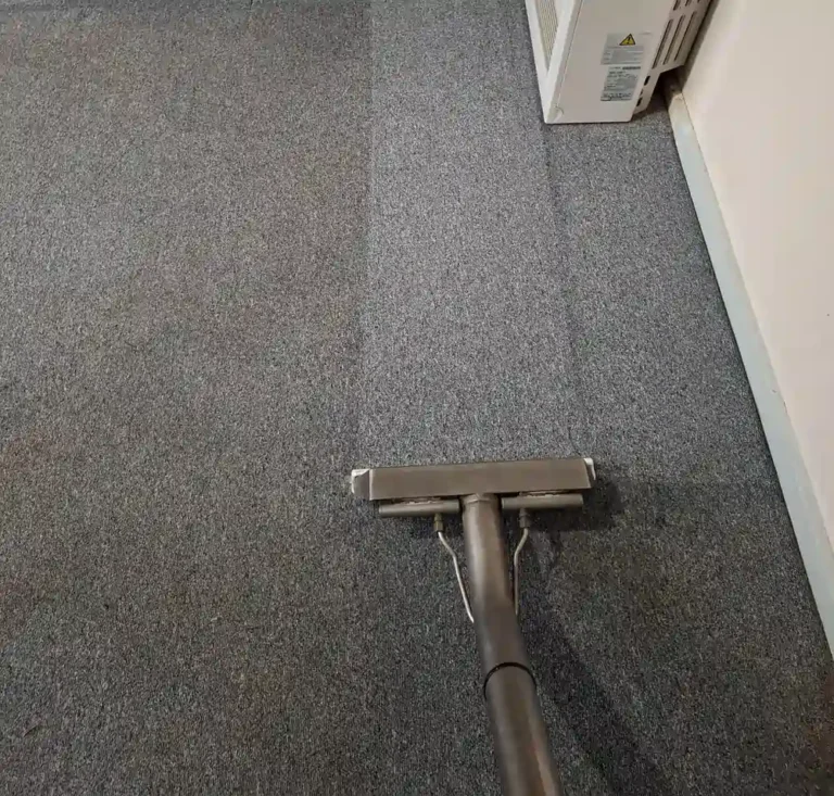 Rapid Dry technician performing carpet cleaning in a Geelong living room