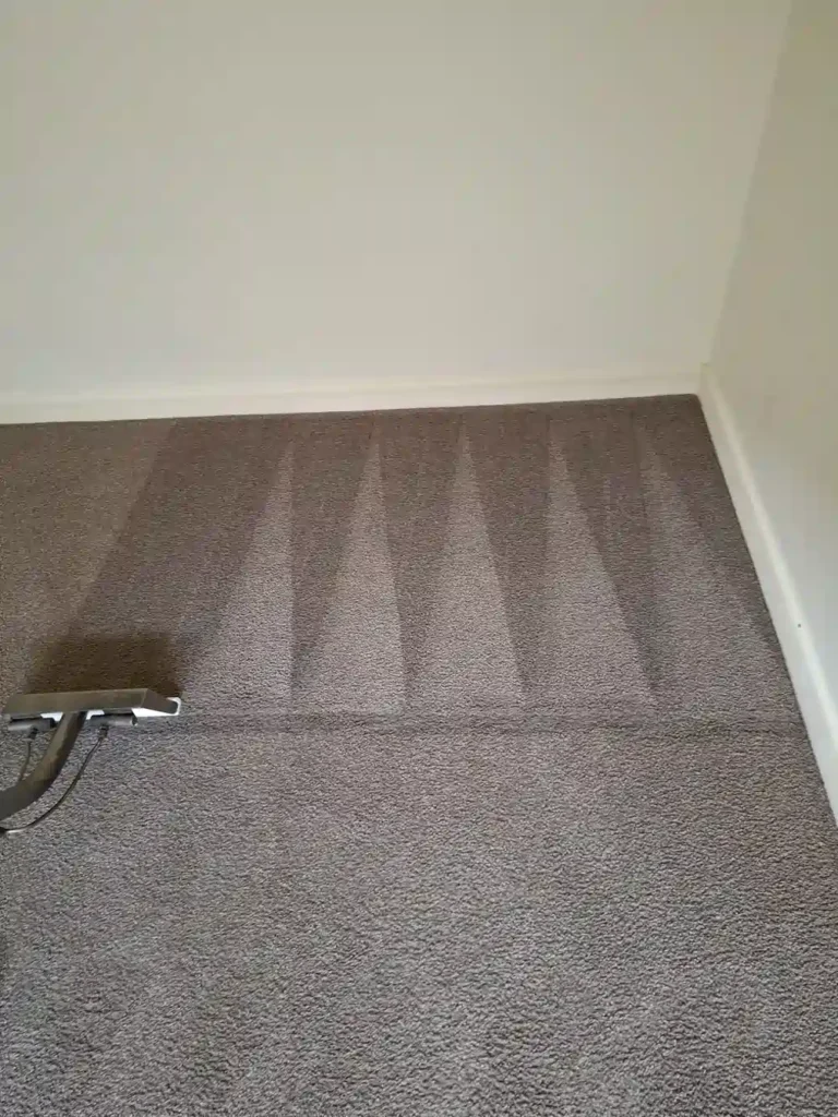 Before and after carpet cleaning results in a Geelong home