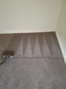 Emergency flood restoration and wet carpet drying service in Geelong by Rapid Dry Carpet Cleaning and Flood Restoration