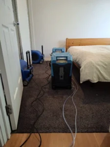 Flood restoration in Geelong with professional water damage cleanup