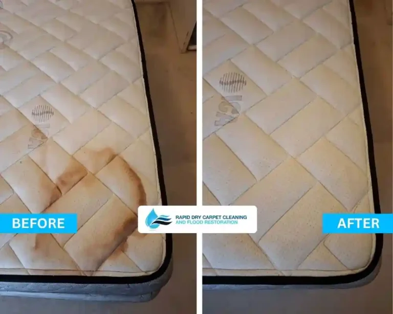Professional mattress cleaning service in Geelong removing allergens, stains, and dust mites | Rapid Dry