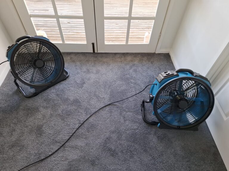 Technician performing emergency flood restoration on wet carpet in a Geelong home