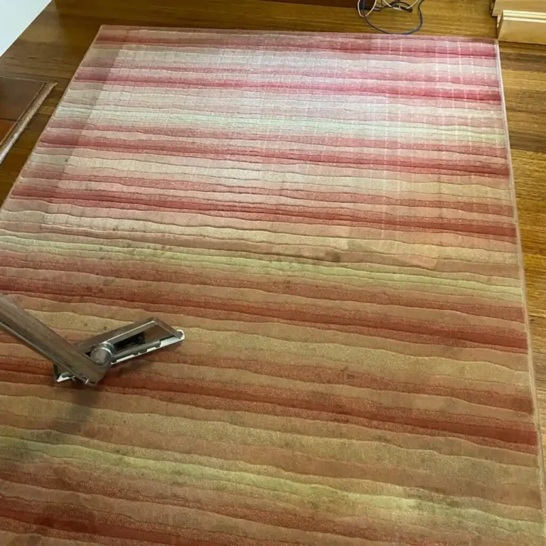 Rapid Dry technician steam cleaning lounge room carpet in Geelong home