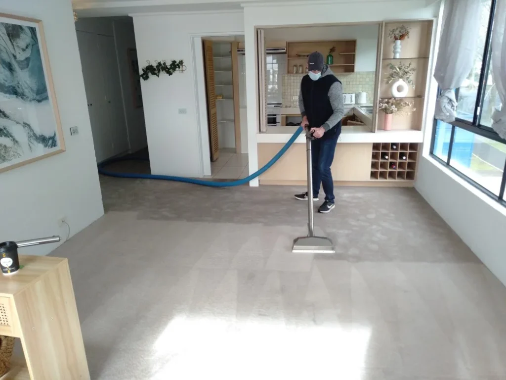 Professional carpet cleaning Geelong living room by Rapid Dry