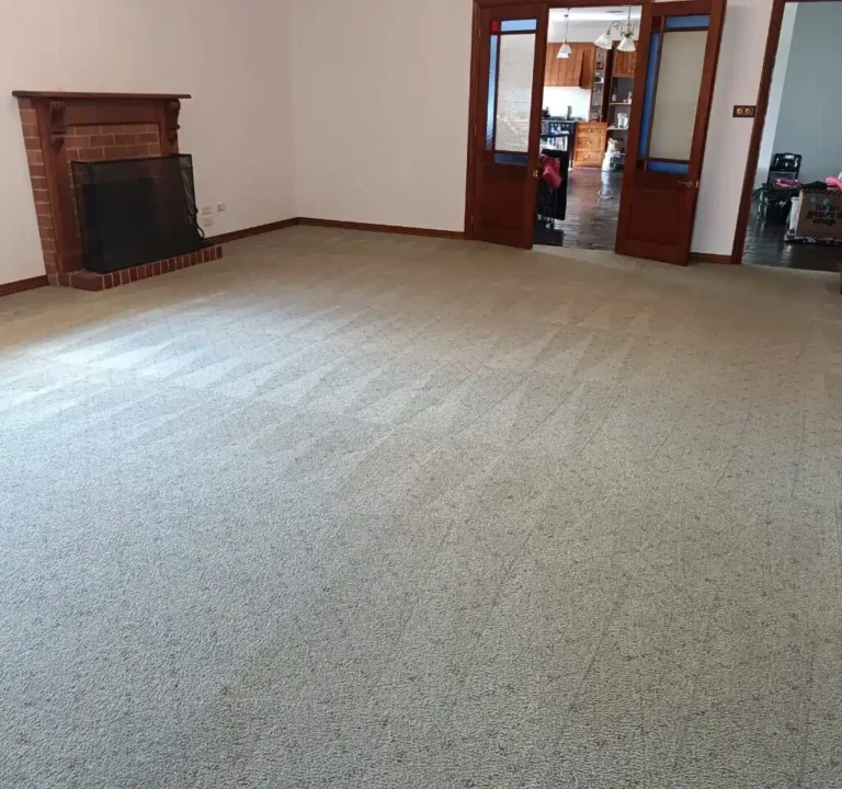 Rapid Dry team providing commercial carpet cleaning in a Geelong office