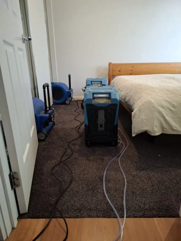 Professional carpet drying equipment operating inside a Geelong property