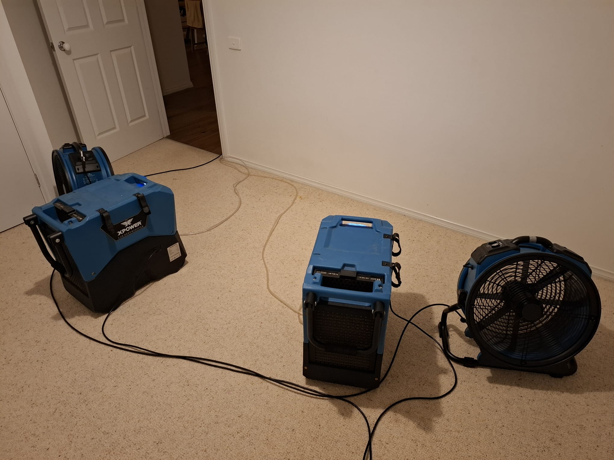 Professional flood restoration service in Geelong