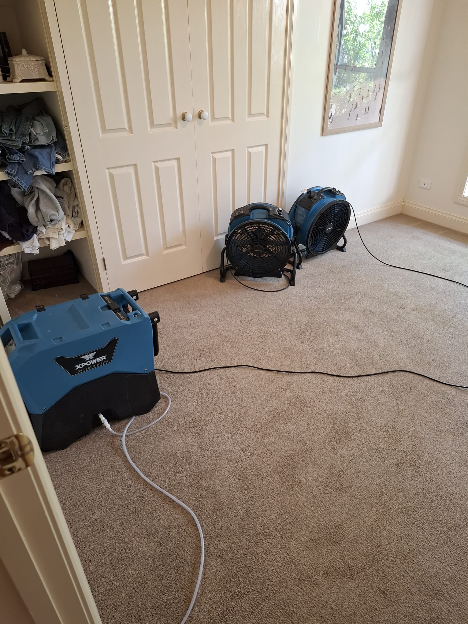Flooded carpet drying and water extraction in Geelong