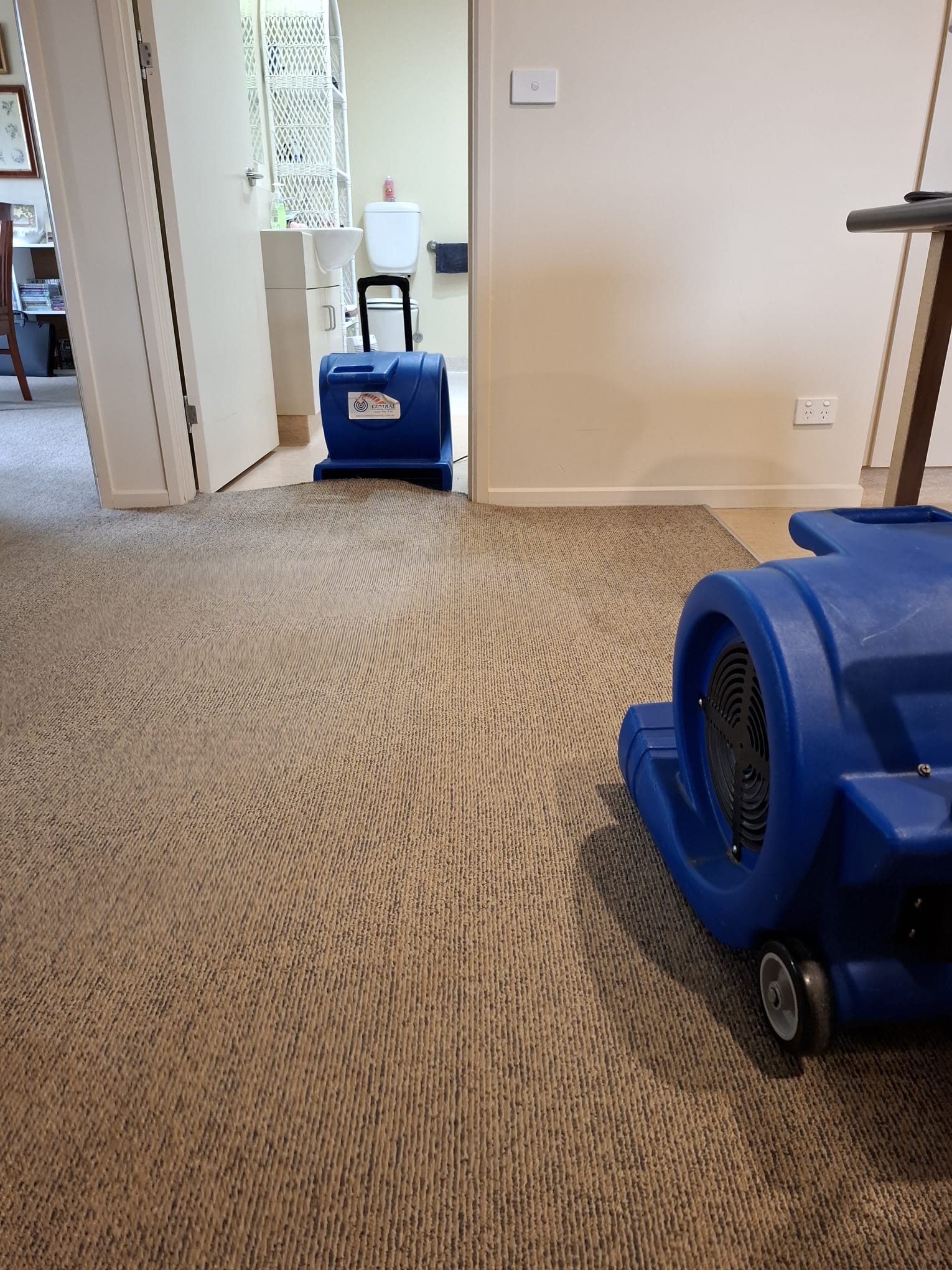 Professional carpet drying and flood restoration equipment in Geelong