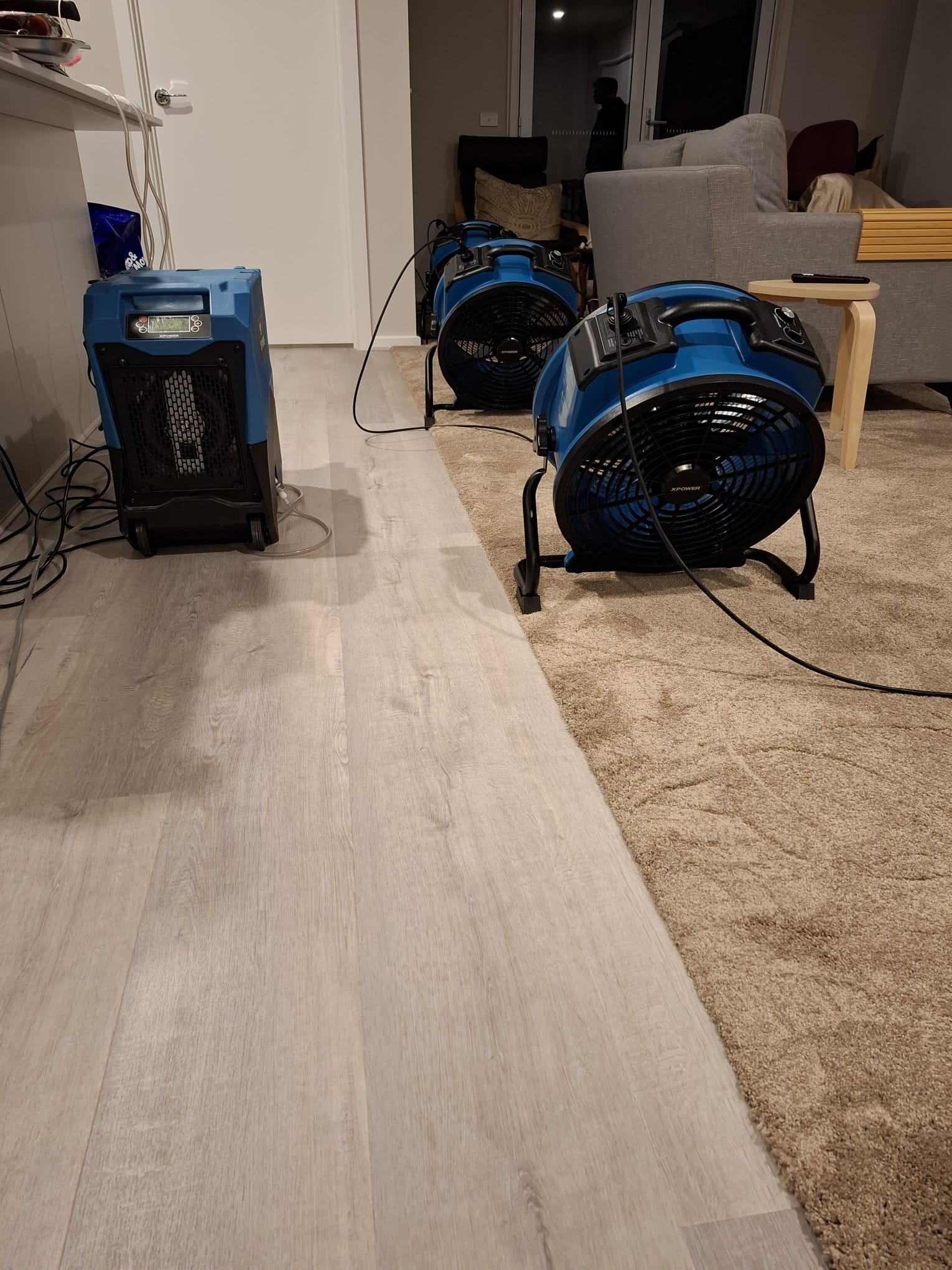 Professional carpet drying and water damage restoration work in Geelong