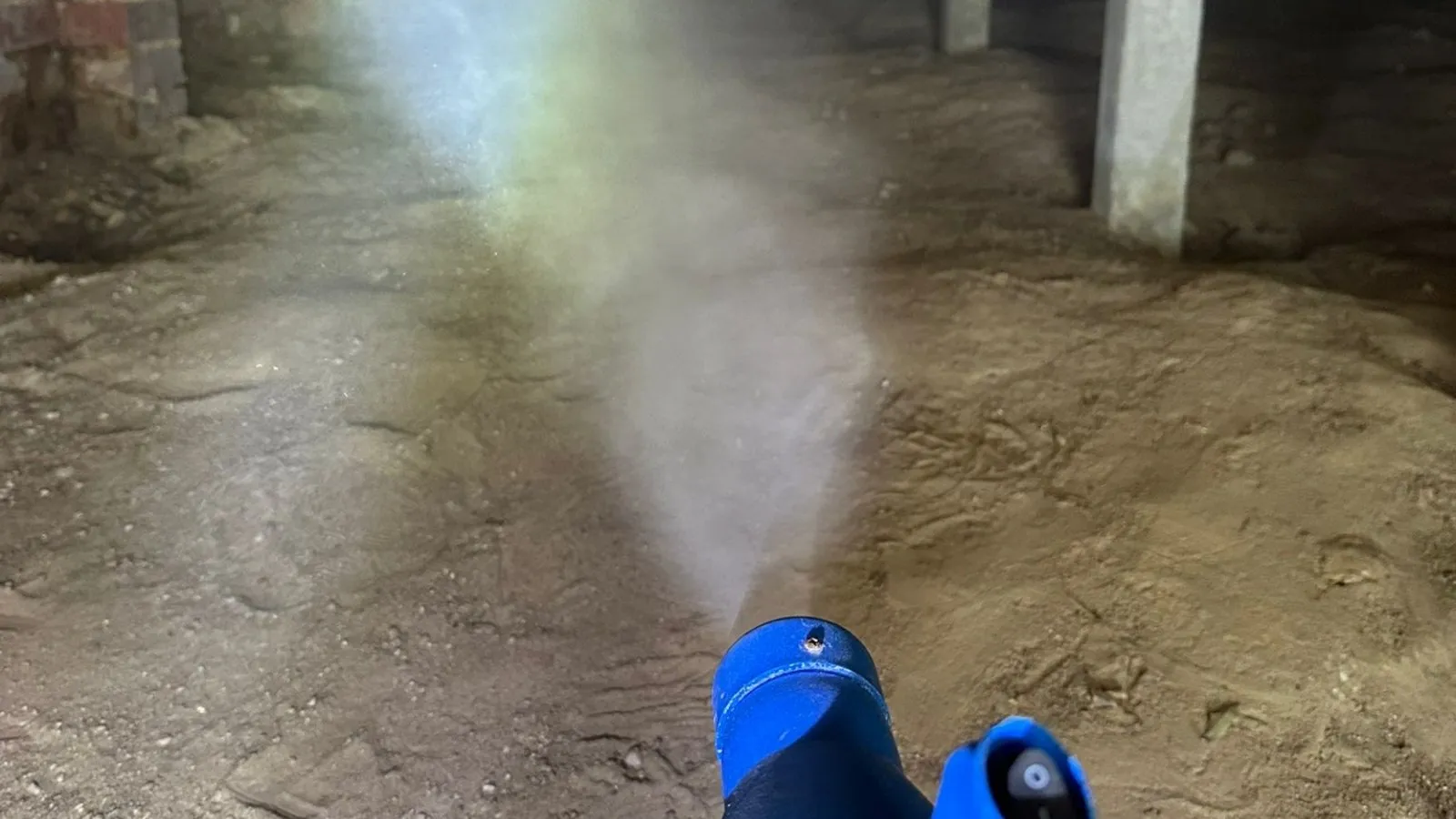 Mould treatment assessment in Geelong