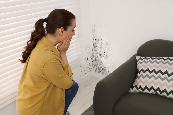 Visible mould growth being inspected on an interior wall