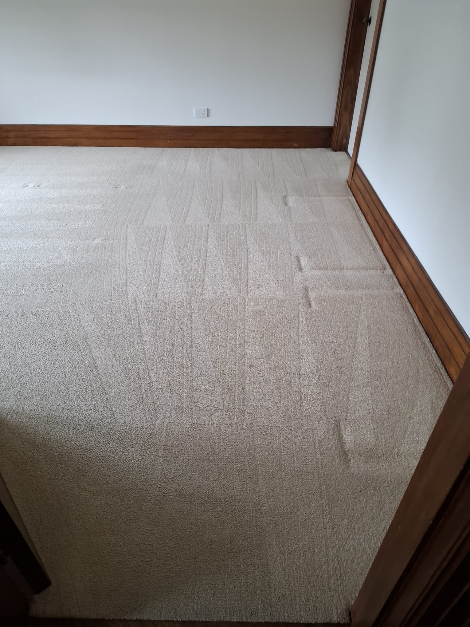 Professional carpet cleaning in Geelong using commercial carpet cleaning equipment