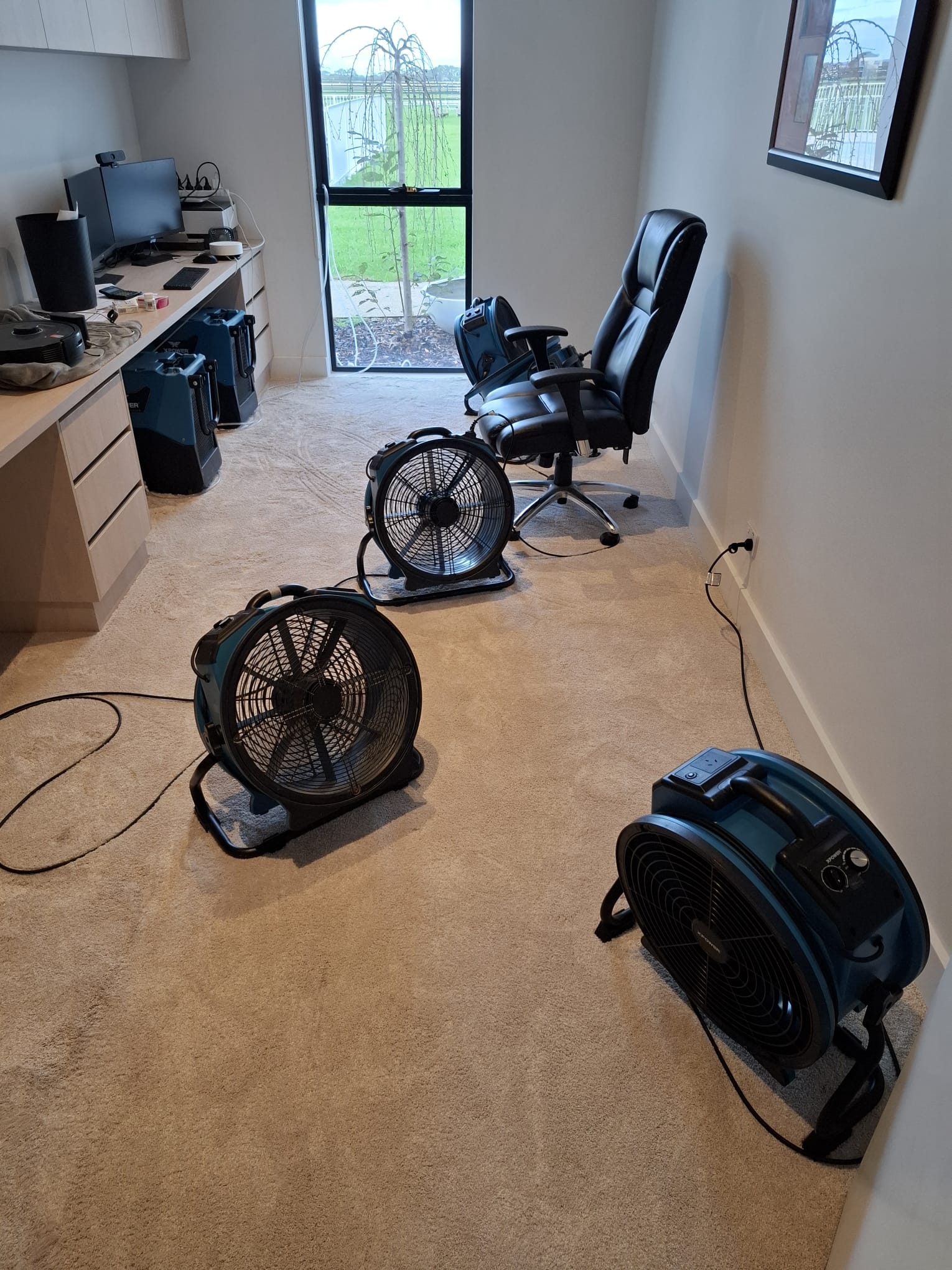 Commercial office carpet drying after water damage in Geelong