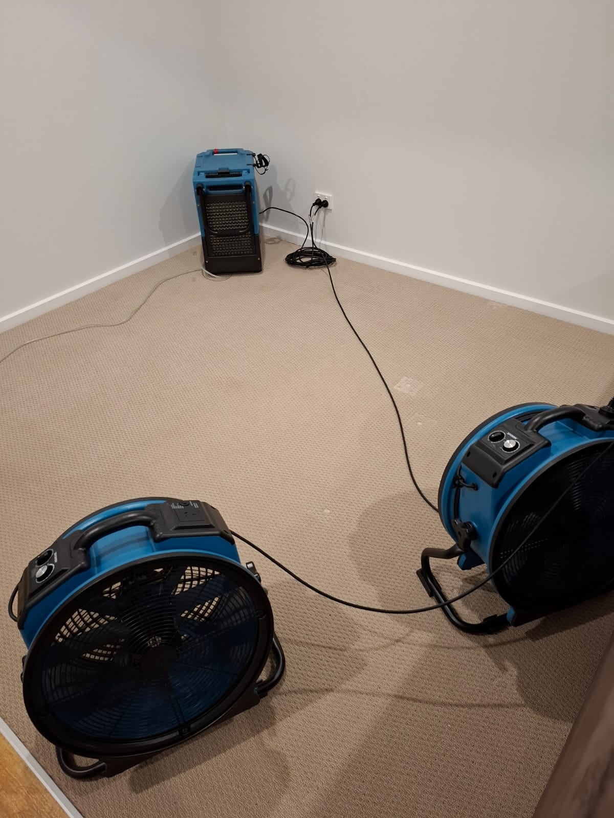 Air movers supporting professional structural drying in Geelong