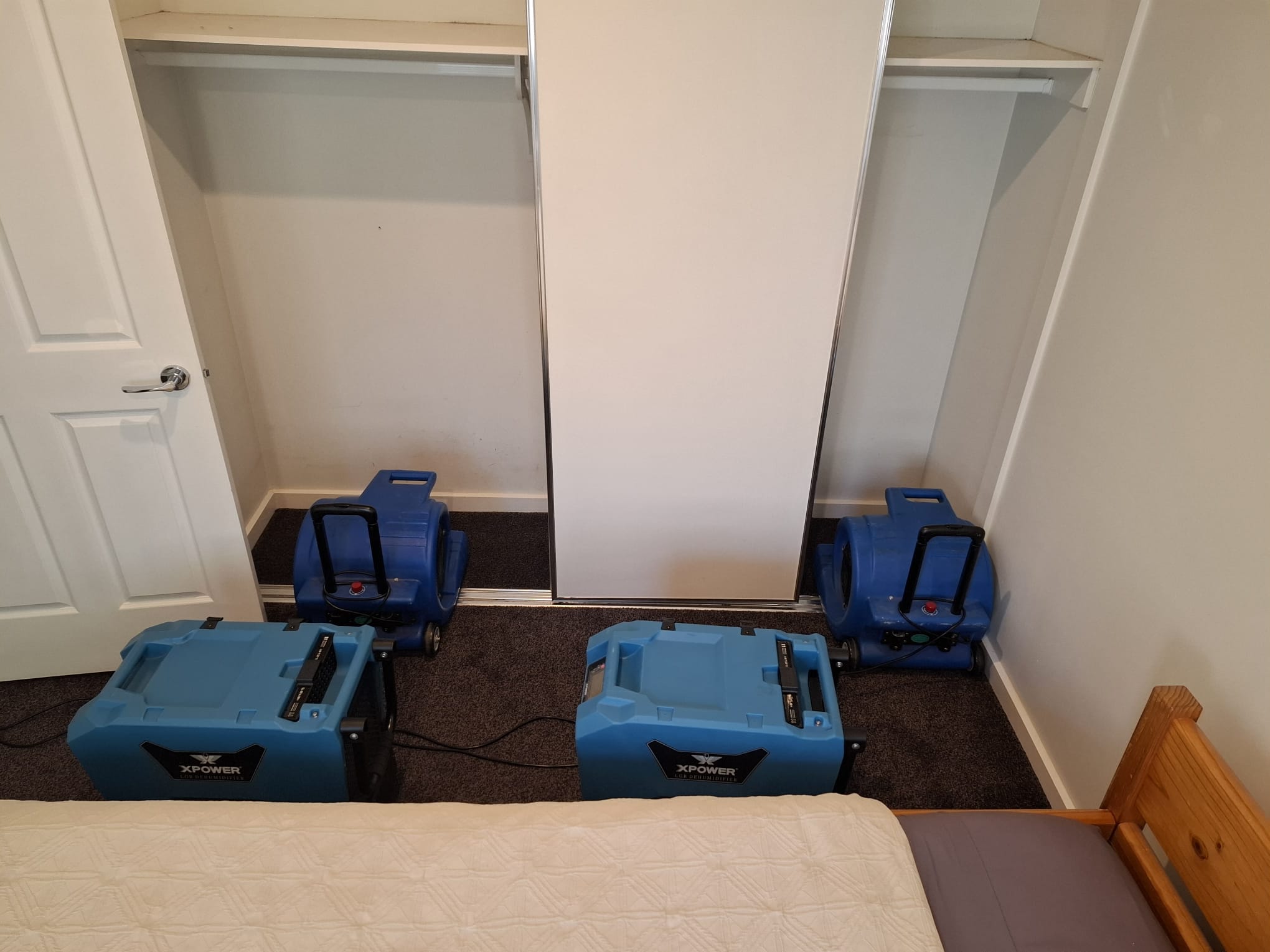 Professional water extraction and structural drying equipment in a Geelong property